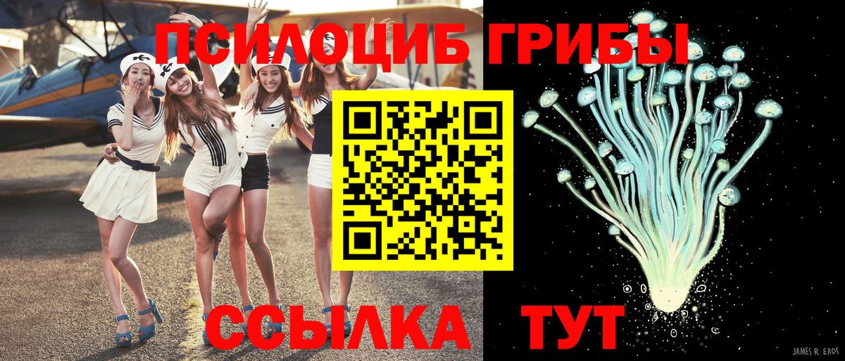 Галлюциногенные грибы мухоморы  Вход с VPN  купить  сайты  Тайшет 