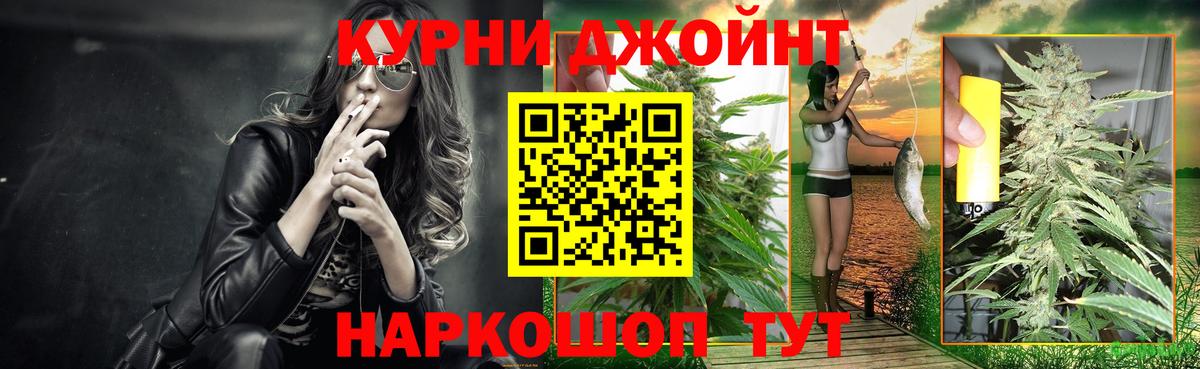 Бошки Шишки план Тайшет